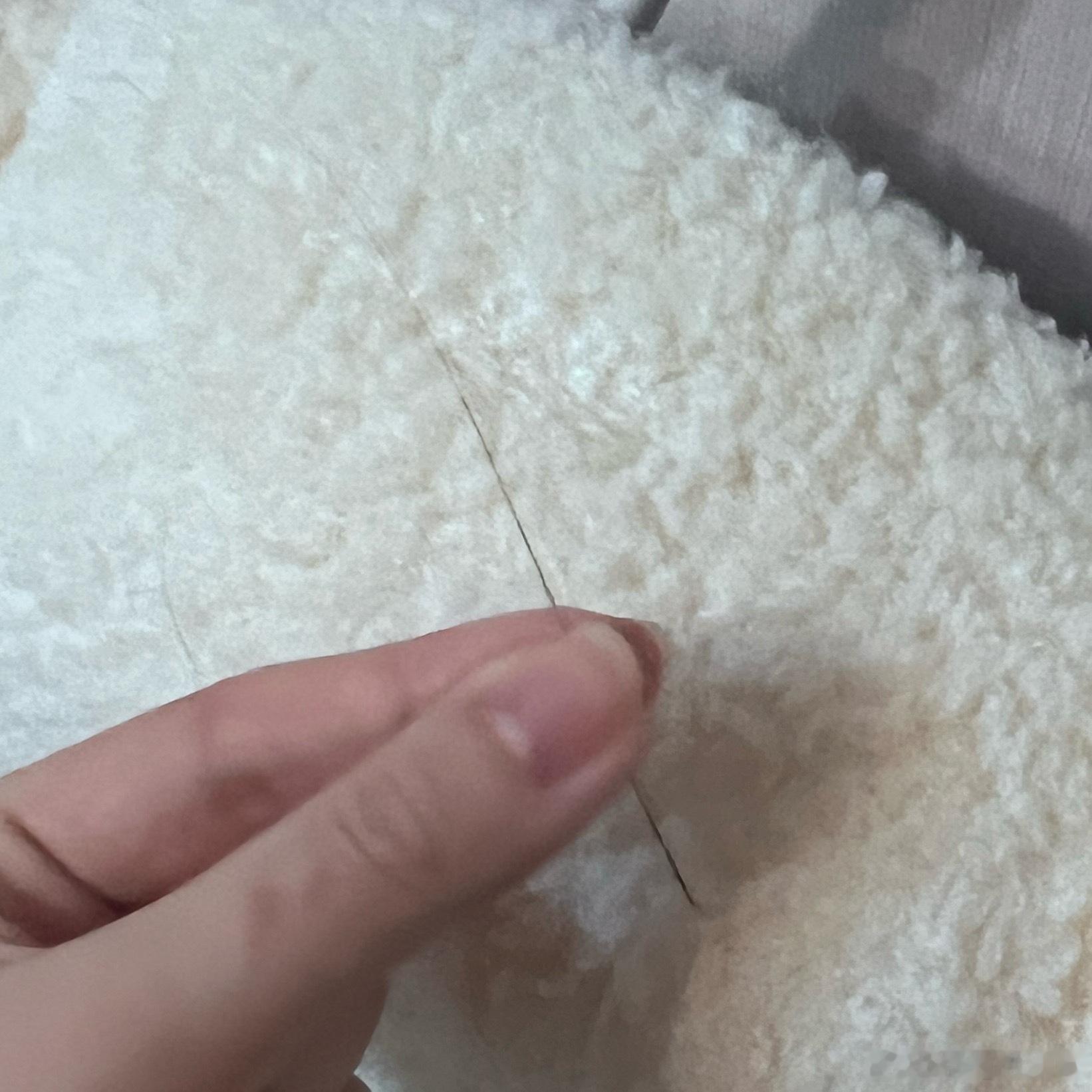 捡到一根超长猫胡子 