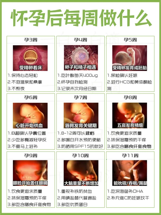 怀孕每周必须做的事🤰孕期看这个就够了