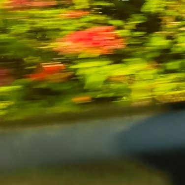 0000养qz和ss一切都是为了阳光信用毕竟好久都没怎么涨了 一起保护大自然 与