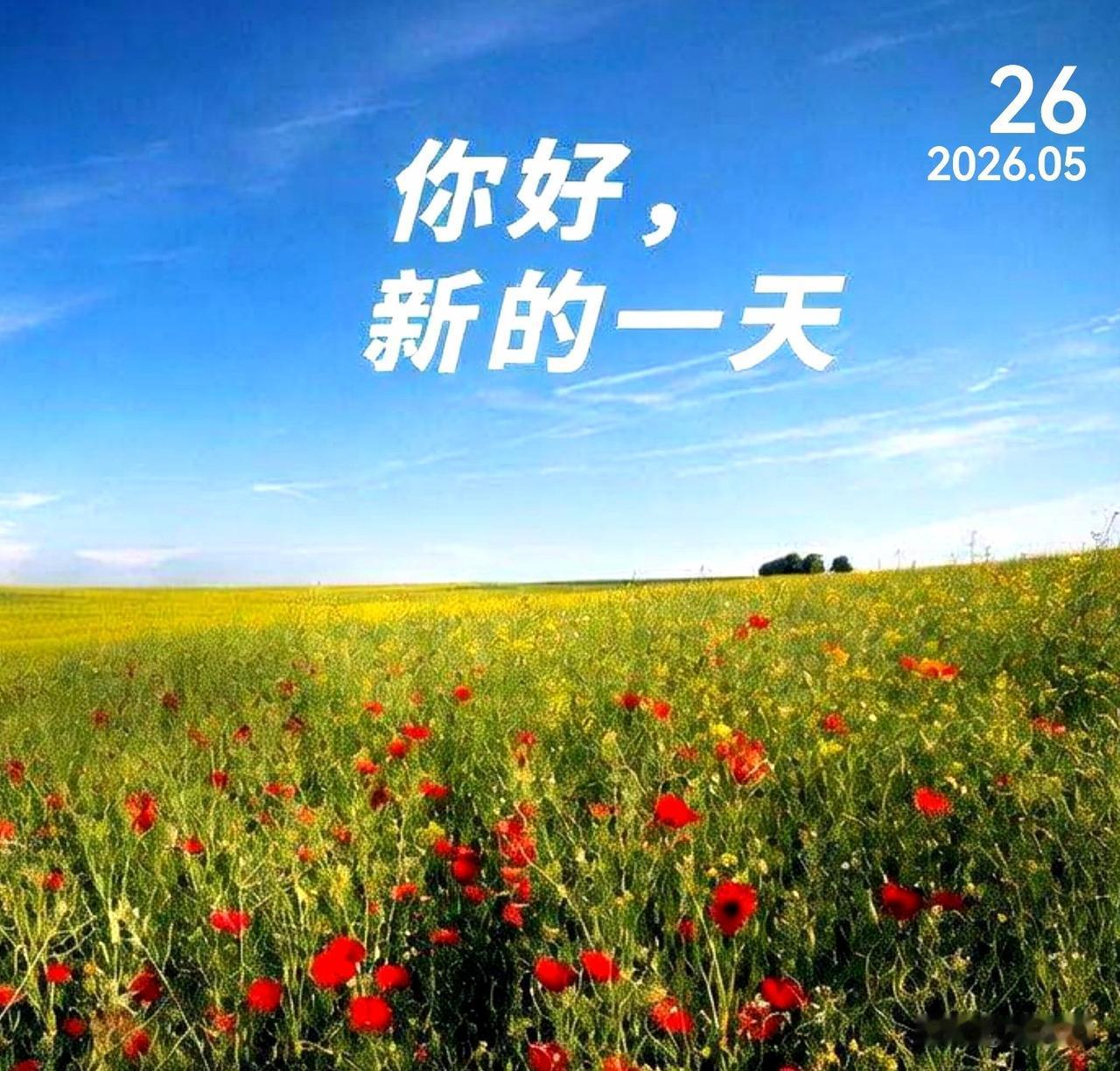 生活给你磨难，并不是让你变得气急败坏，而是让你学会从容面对。成长就是学会心平气和