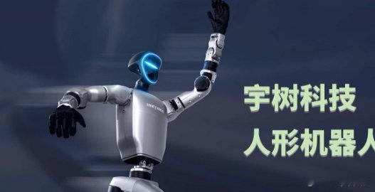 宇树科技8月10日申购 宇树科技初步询价日【宇树科技：初步询价日为8月5日 网下