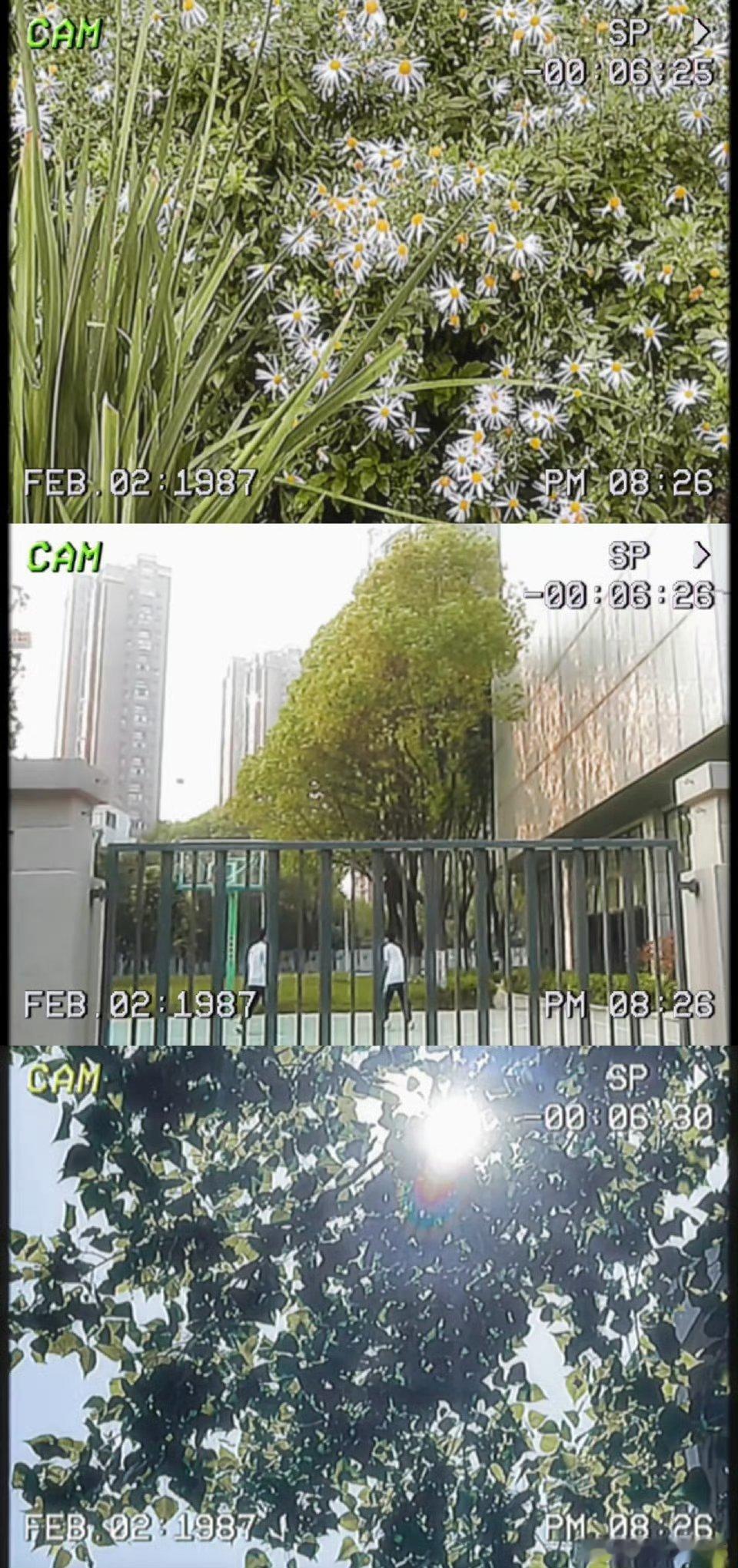 温以凡角色号为桑延庆生《难哄》最强售后