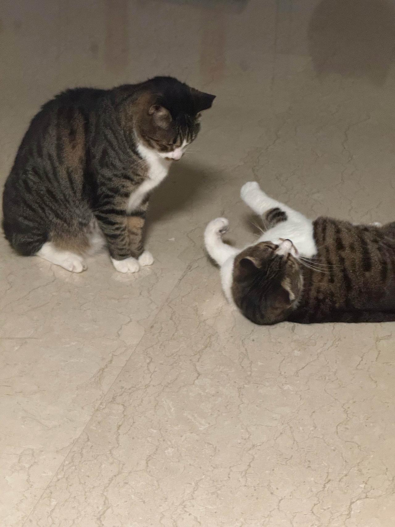 家暴男注定一生孤独！