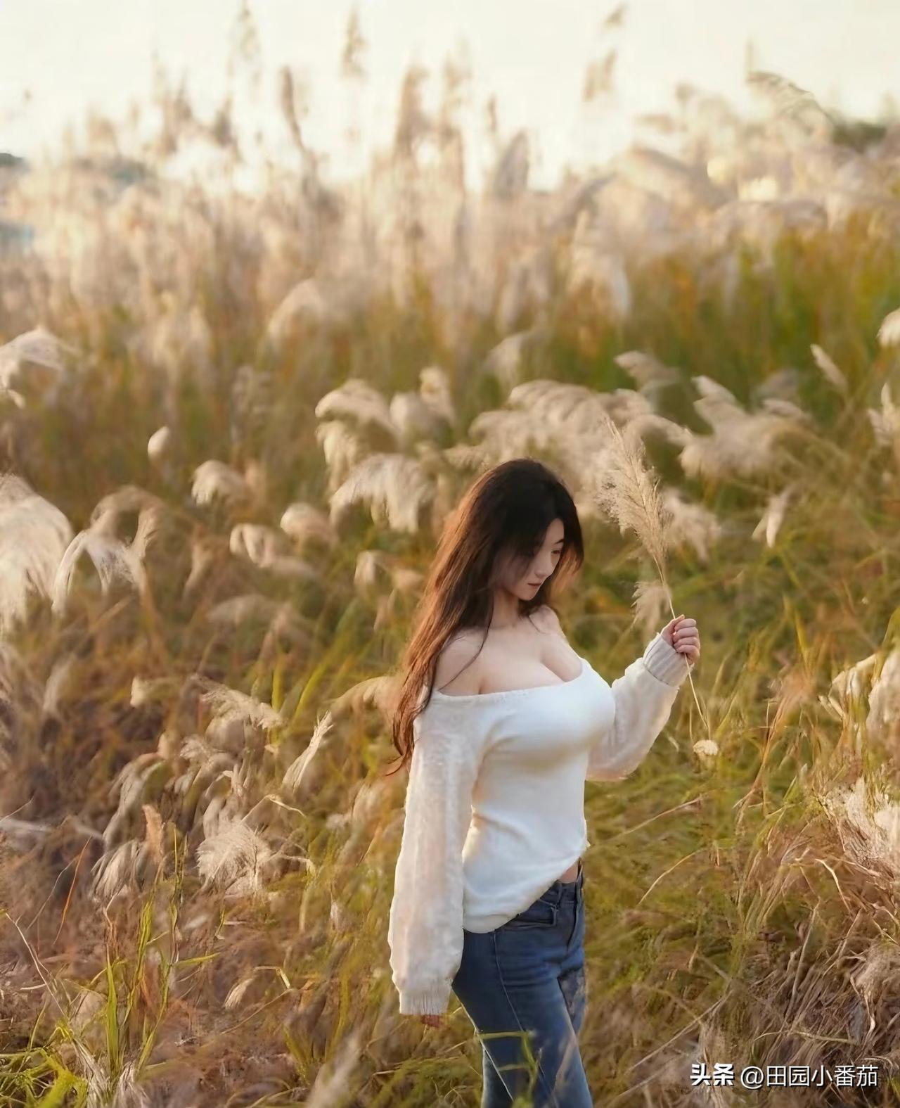 草原最美的花，火红的萨日朗
一梦到天涯，遍地是花香
流浪的人啊心上有了她
千里万
