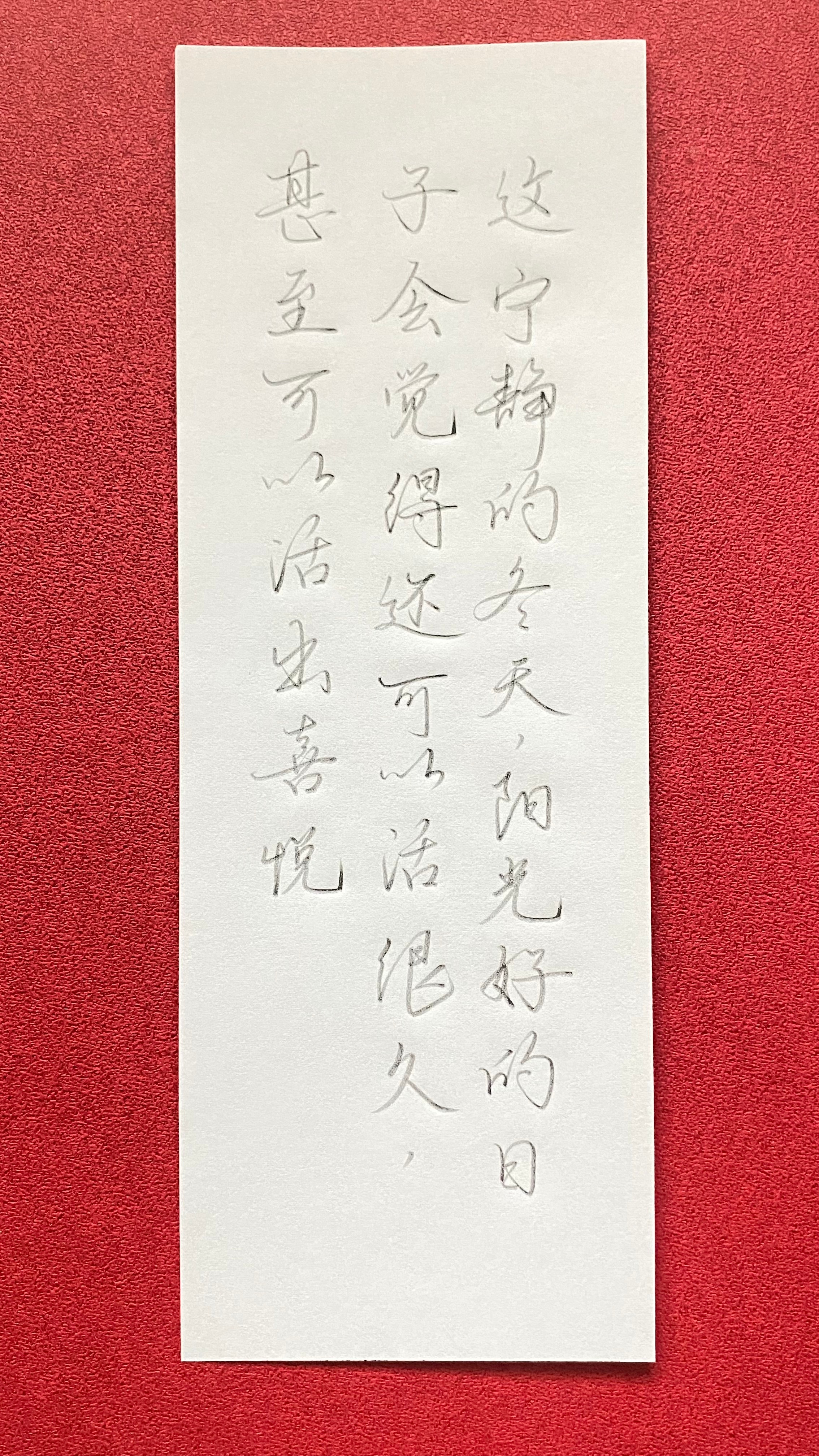今日作业（2024.12.28）这宁静的冬天，阳光好的日子，会觉得还可以活很久，