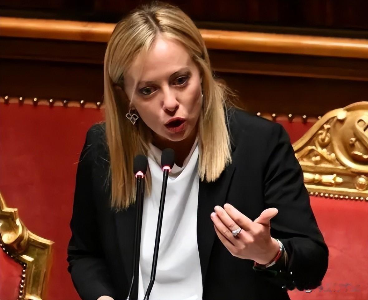 梅洛尼：要特朗普“学会尊重”

欧洲媒体炒作一向唯美国总统特朗普的马首是瞻的意大