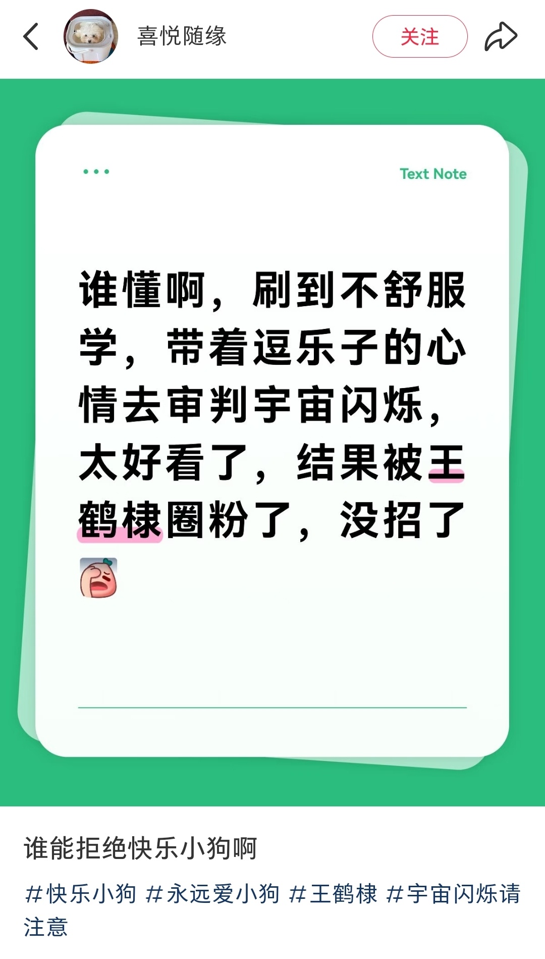 王鹤棣用作品反黑，因为他经得起推敲，最后还会吸粉王鹤棣