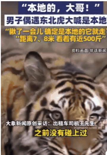 解释不清了！吉林一女子晚上打车回家，结果，司机开到一偏僻处，突然停车！女子一下就