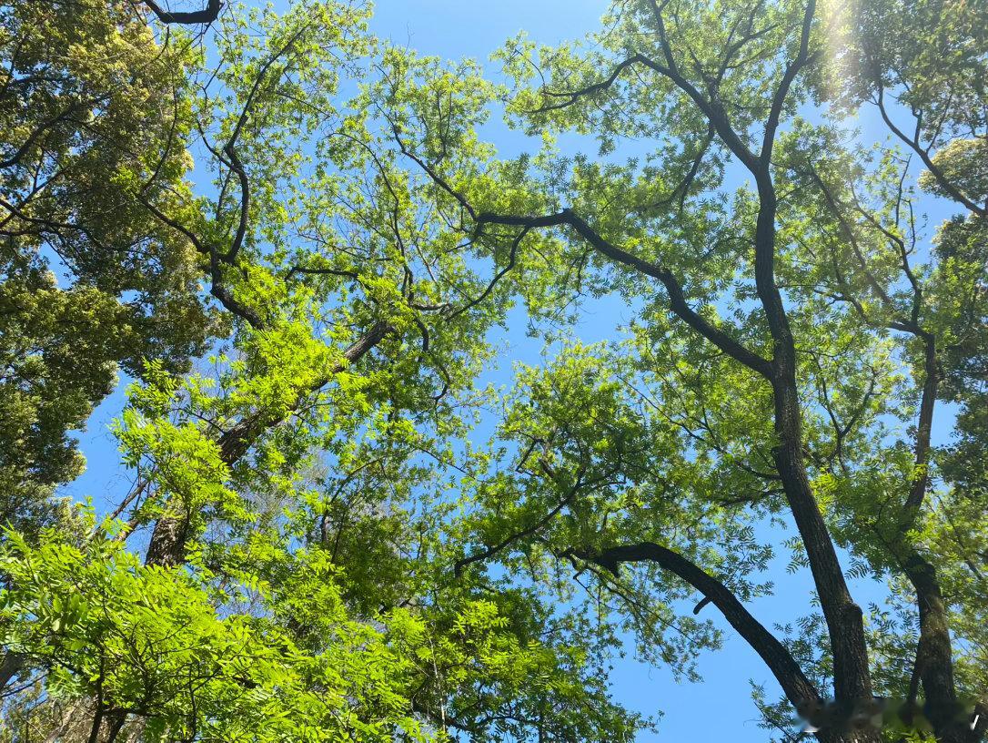 图灵塔罗  戊土啊撑住，现在就是最考验你的时刻撑住就没问题👍👍加油👏👏 