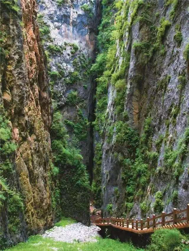 每日一善  森林驿站 每个人都可以成为别人的太阳，用你的温度融化冷漠，用你的光照