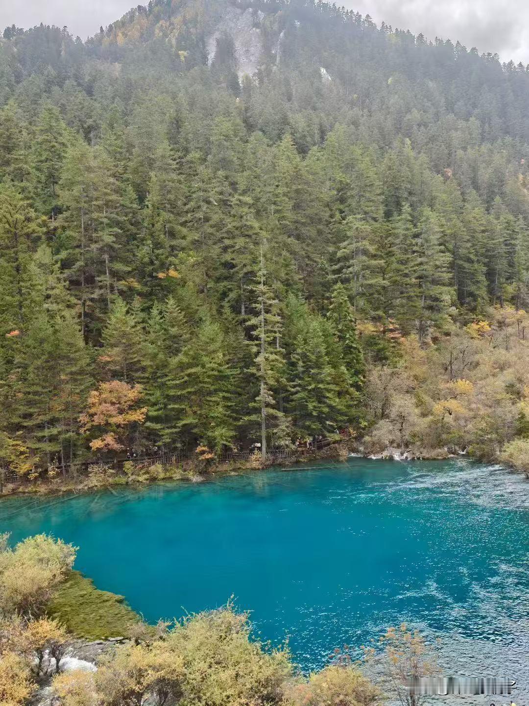 今天来到了老虎海，你瞧这地儿多美！

一汪湖水蓝得跟宝石似的，在这儿闪着光。周围
