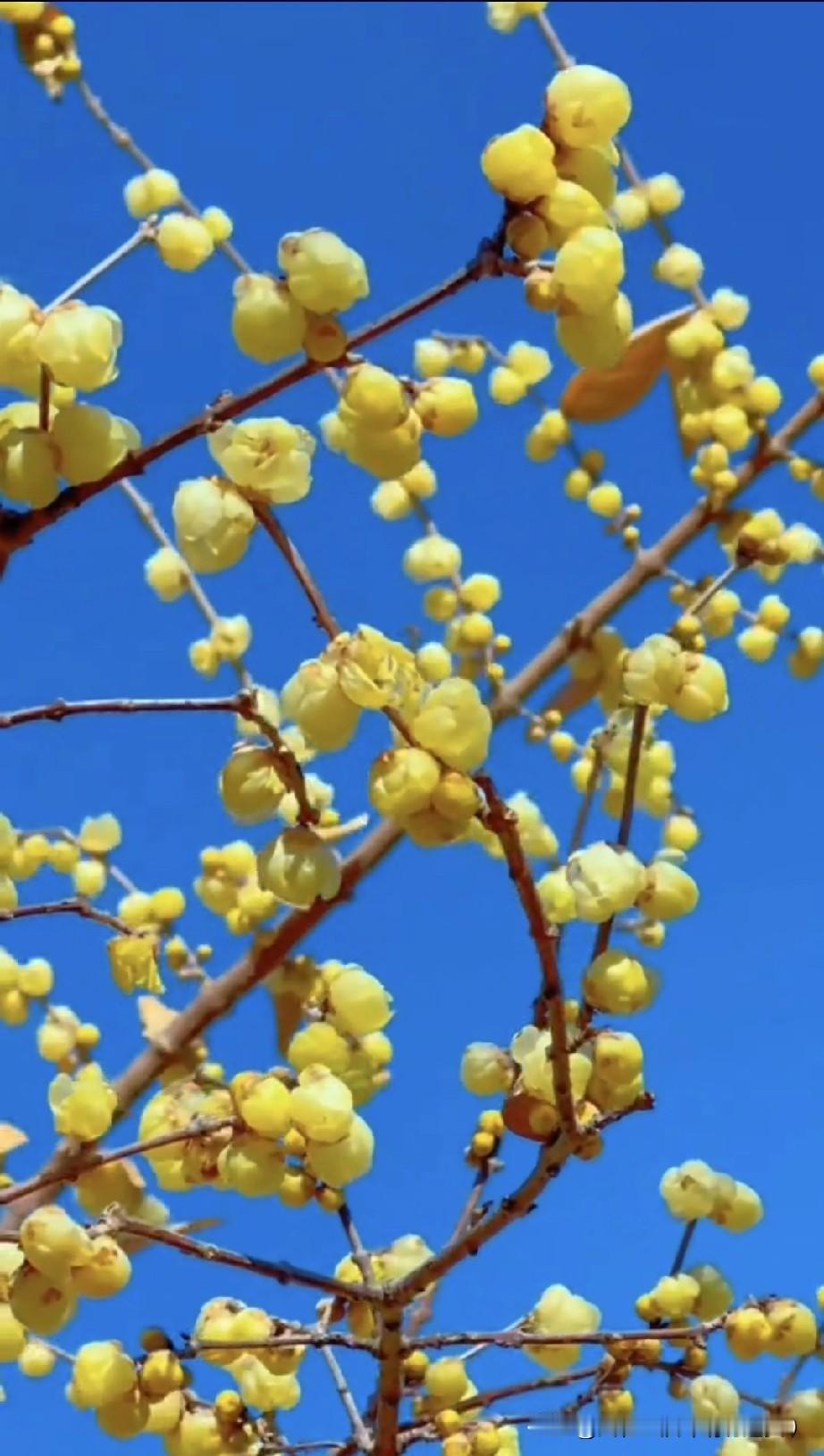 人到中年心态有什么变化吗？
 
年轻时爱争输赢，凡事都要较个高下，总觉得远方才有