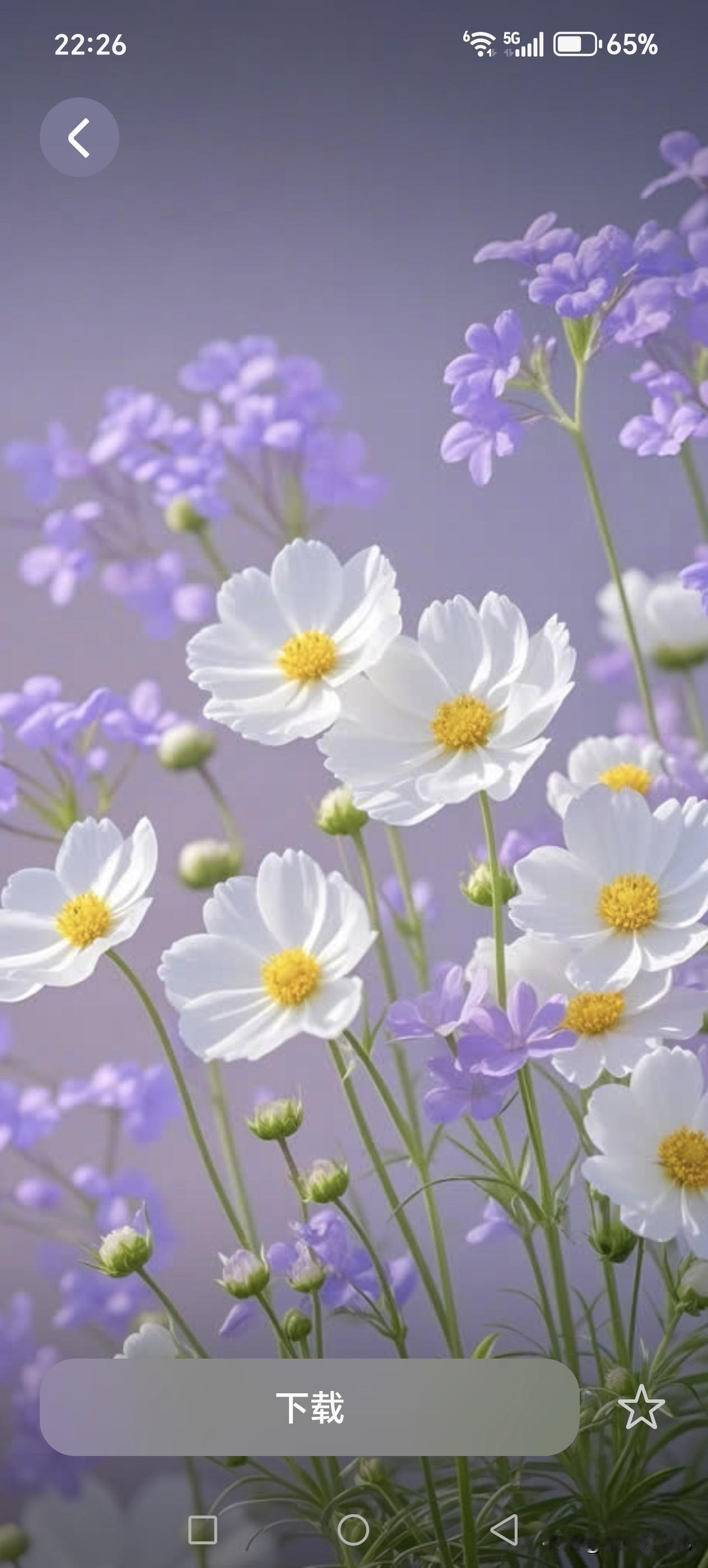 不知啥时候起，瘦是一种赞美，即使瘦的皮包骨头真的不好看，但那些人的言语中总透露着