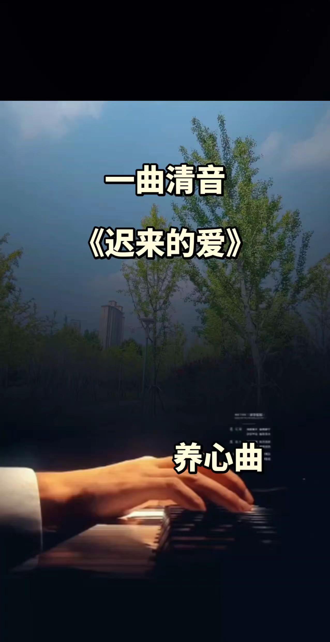 一曲清音《迟来的爱》旋律响起，满满的回忆，满满的治愈！随拍 治愈系 玩法合伙人计