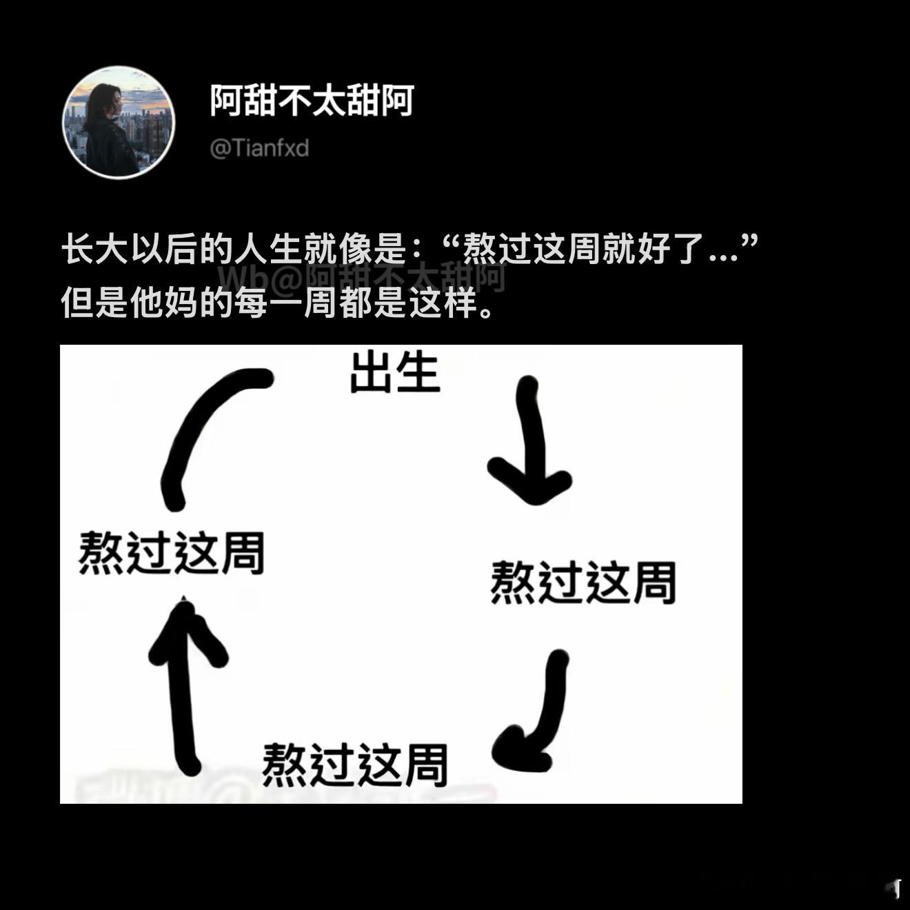 长大以后的人生be like ​​​