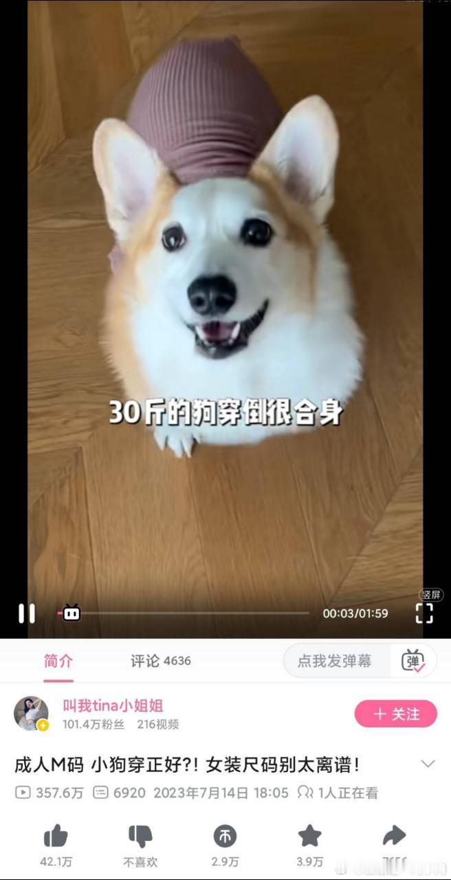 成人女装的m码真只够30斤的狗穿[汗] ​​​