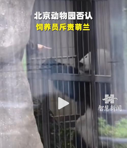 【大熊猫不能被人用手指着？一天2000封举报信谁能信？】
要说奇葩，北京动物园的
