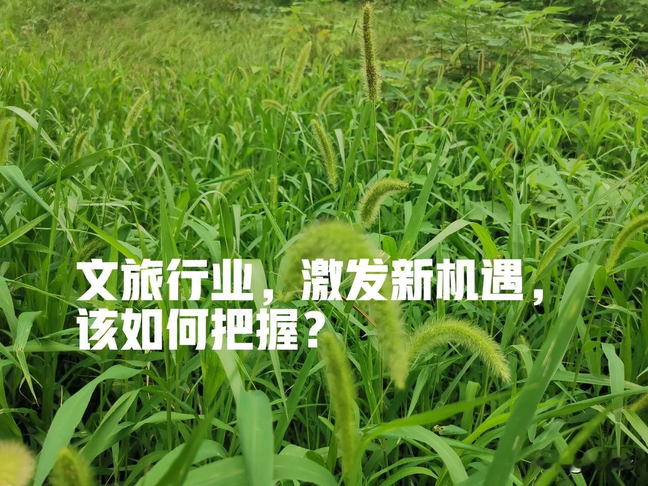 文旅行业，激发新机遇，该如何把握？

随着国务院《关于促进服务消费高质量发展的意