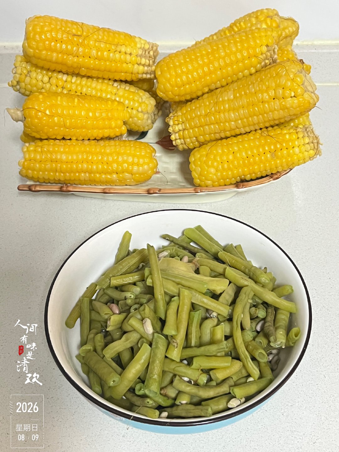 【2026年种植记事】节气真是根奇妙的时间线，从周五立秋的早晨开始，早晚的风便有