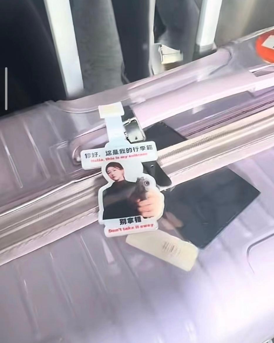 被可爱老婆萌化了宝宝：你好 这是我的行李箱 别拿错🔫 