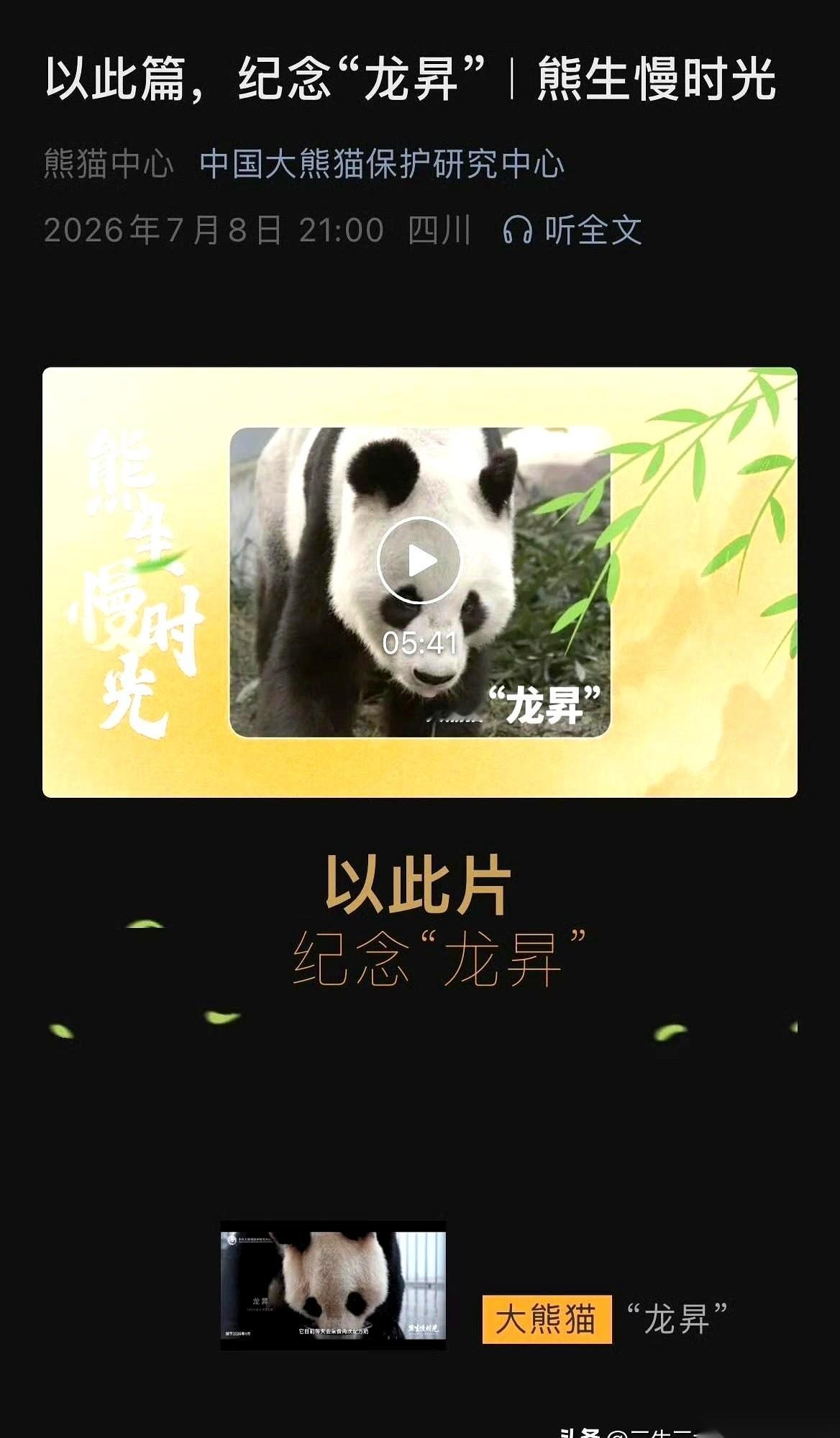 大熊猫龙昇走了。
4岁离家，在外漂泊了二十一年，终于在2025年7月回到中心，所