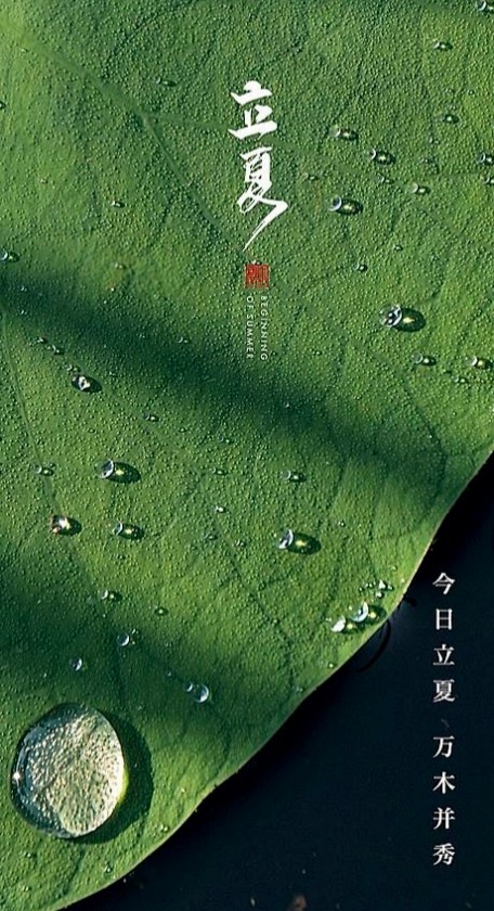 立夏 早！老铁们早上好[微风][羞嗒嗒] ​​​
