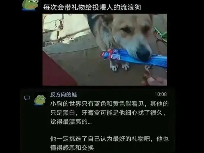 <img src=