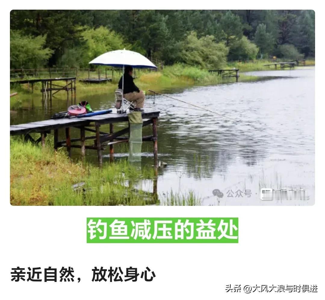 #喜欢看钓鱼是一种什么心情#钓鱼爱好者通常都是因平时生活在复杂的环境里，许多事情