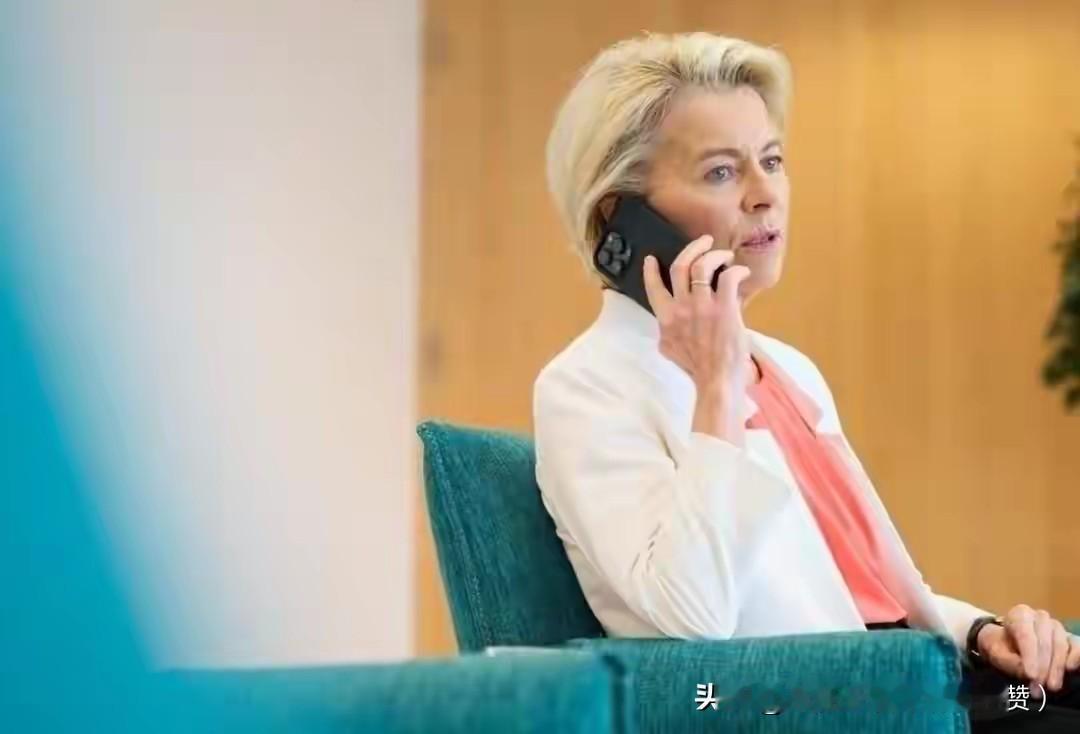 欧盟正准备报复中国，又被特朗普一顿收拾
 
欧盟2025年已对华发起15起贸易调