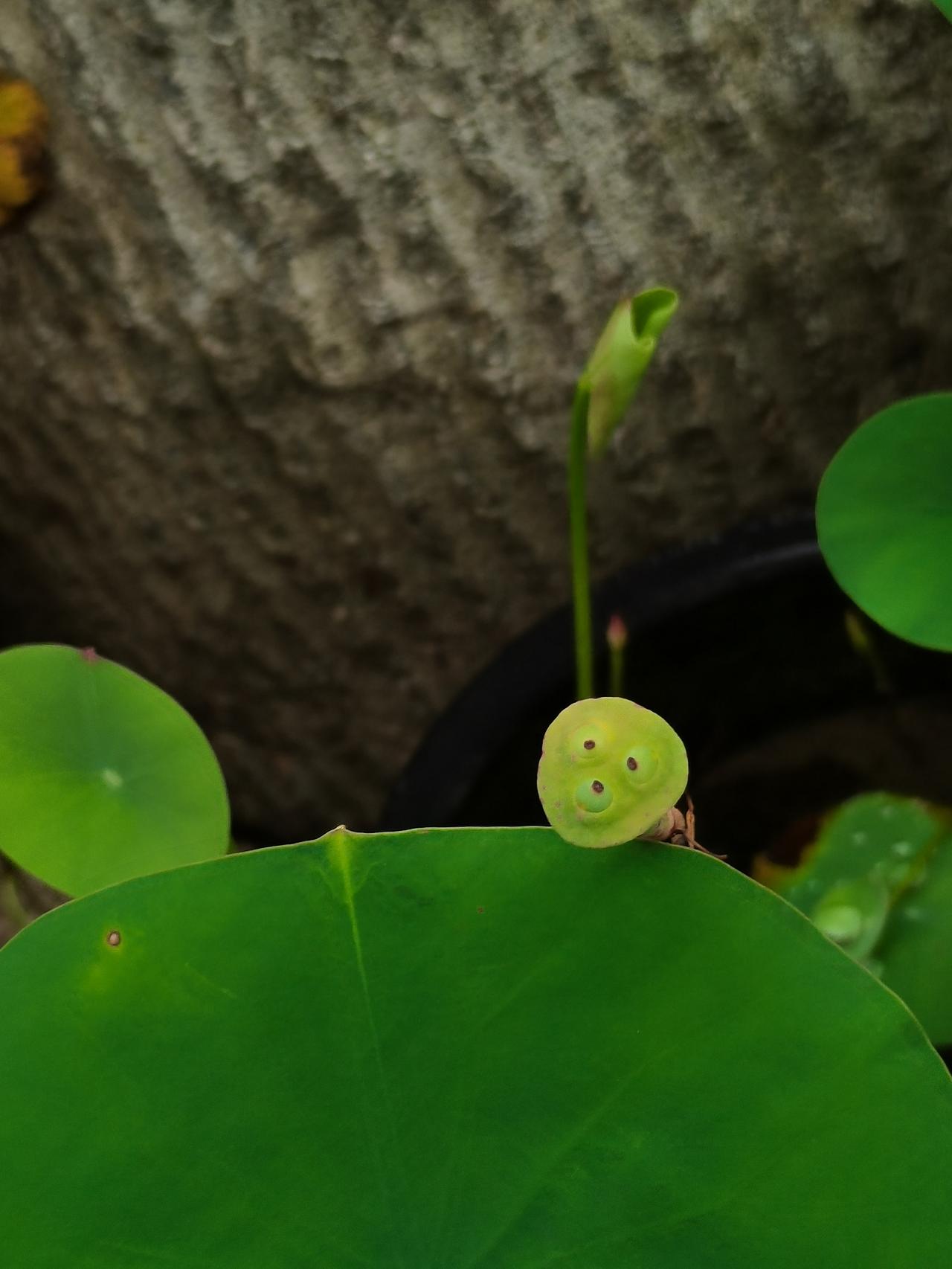 给儿子打电话，
没聊几分钟他就要睡觉，
就会有一些失落感。

可能因为独身，
会