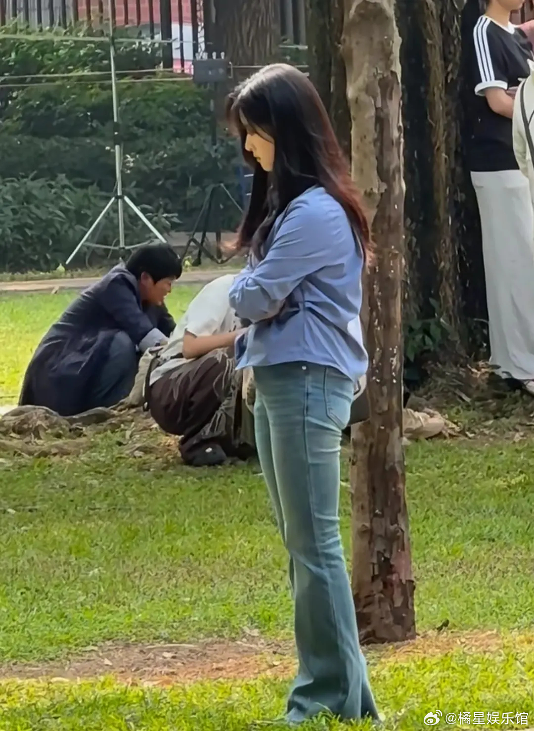 月月看着比后面的树还宽厚