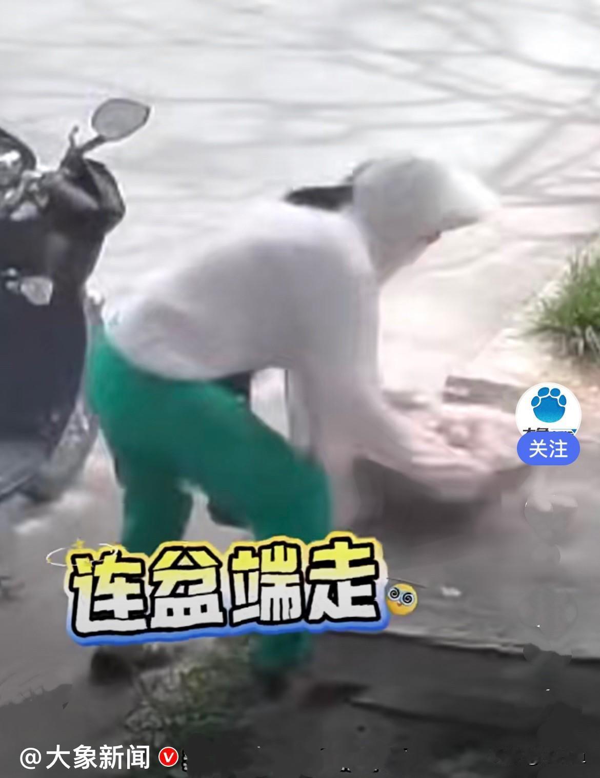 近日、河南一户人家辛辛苦苦种、辛辛苦苦晾晒的满满一大盆大蒜，摆在路边晾晒，一名女