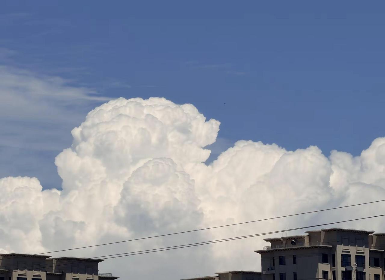 抬头发现美～ 今天的天空真美！！ 浓积云～  积雨云的早期形态～ 证明等下就会下