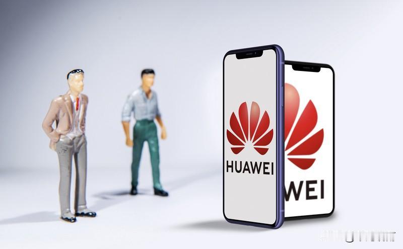 老公朋友的儿子刚进入华为工作，听说一入职就开始带领团队了，年薪能达到80万（这还