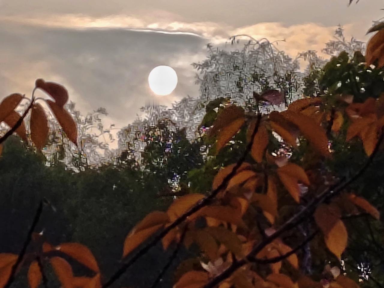 分享我这周有趣的事：我眼里的秋[耶][马思纯的微笑]