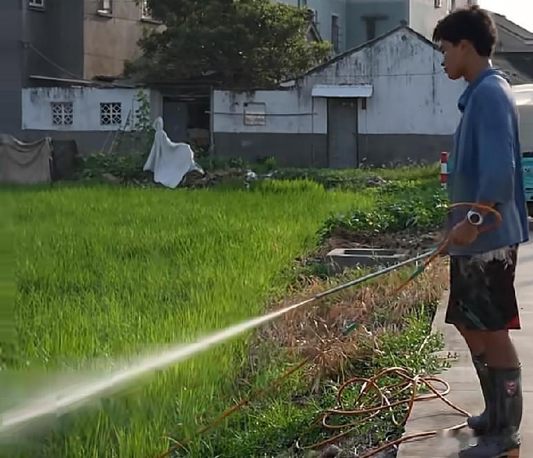 浙江嘉兴平湖一小伙高考结束后，便到农田做了暑假工，时薪15元，每天工作10小时以