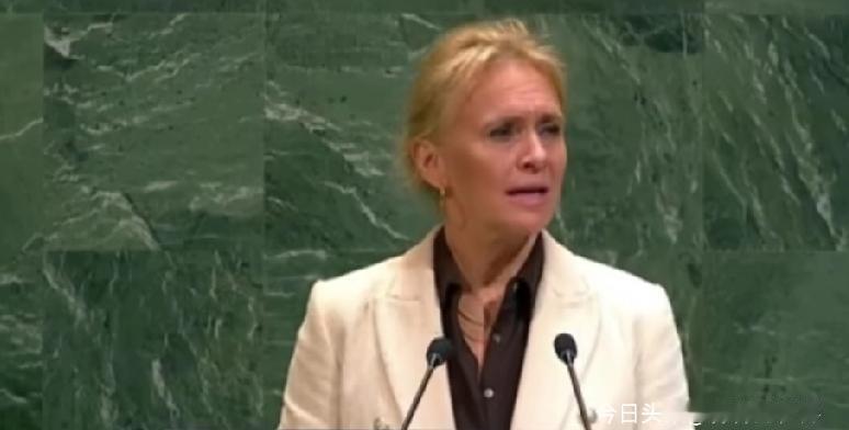 冰岛外长索尔·格尔杜尔·卡特琳·贡纳斯多蒂尔在第80届联大发言，立场拎得门儿清，