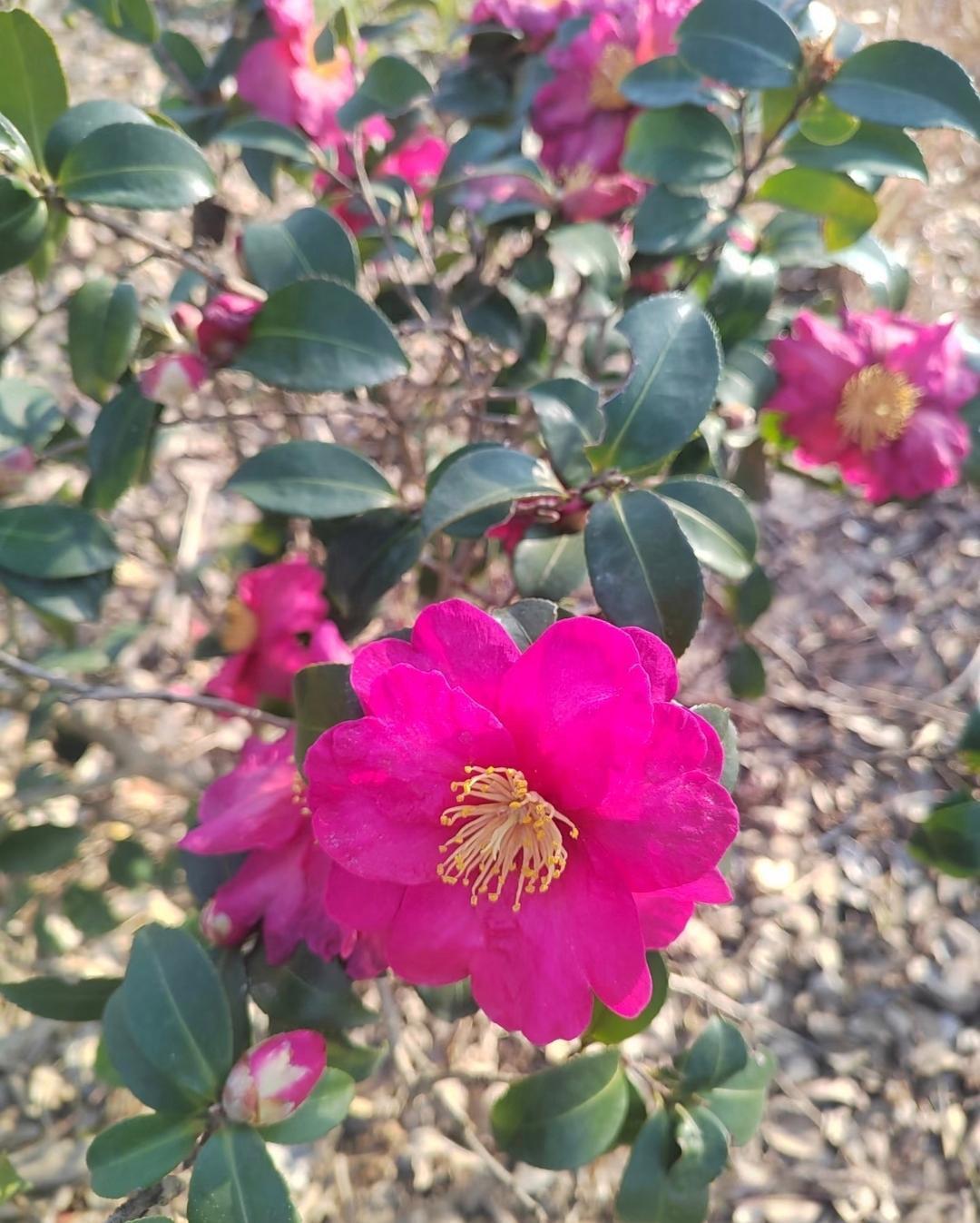 一个母亲真的能毁好几代人吗？我妈，不过她只毁了一代。零几年的时候，我爸月薪就有8