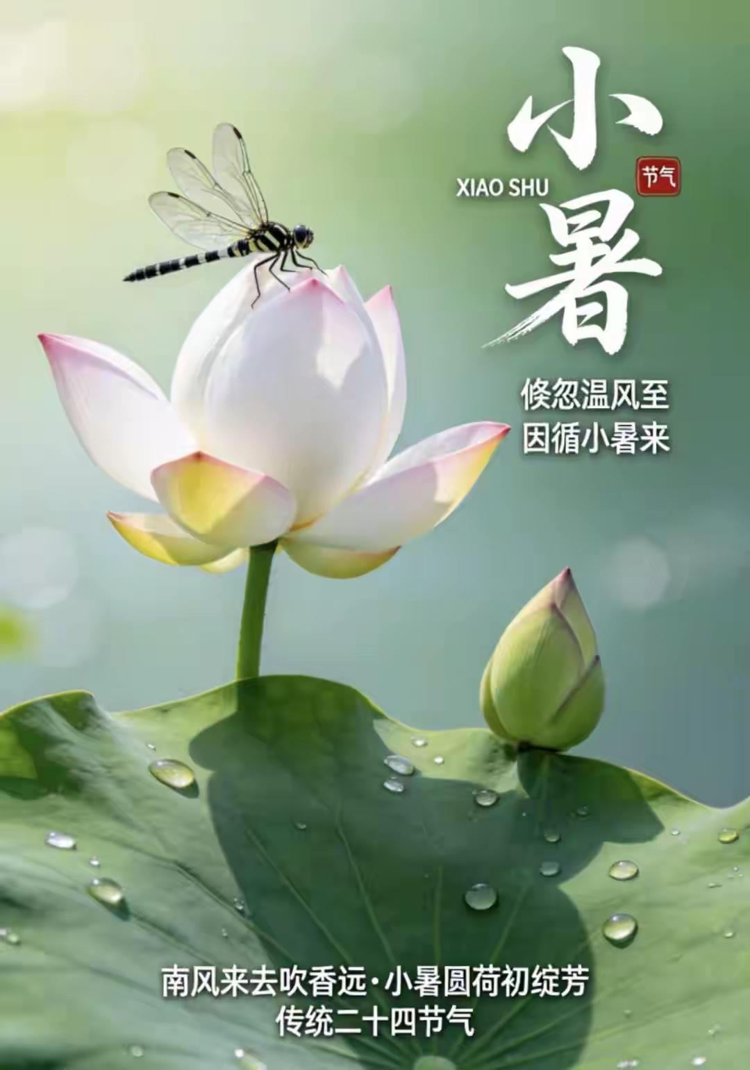 小暑到，热又燥
一会太阳晒
一会大雨浇
一不小心得感冒
为了自己不吃药
出门带伞
