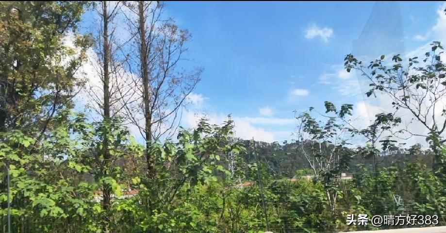 记得有次和一群驴友出去爬山，那是我第一次爬那种没有路荆棘丛生的山。，也是唯一的一