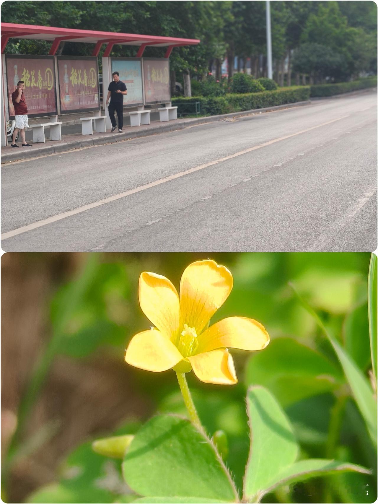 生活本无完美，
唯有用心来体会！

今天下班下不小心摔了一跤，
好半天手都是疼的