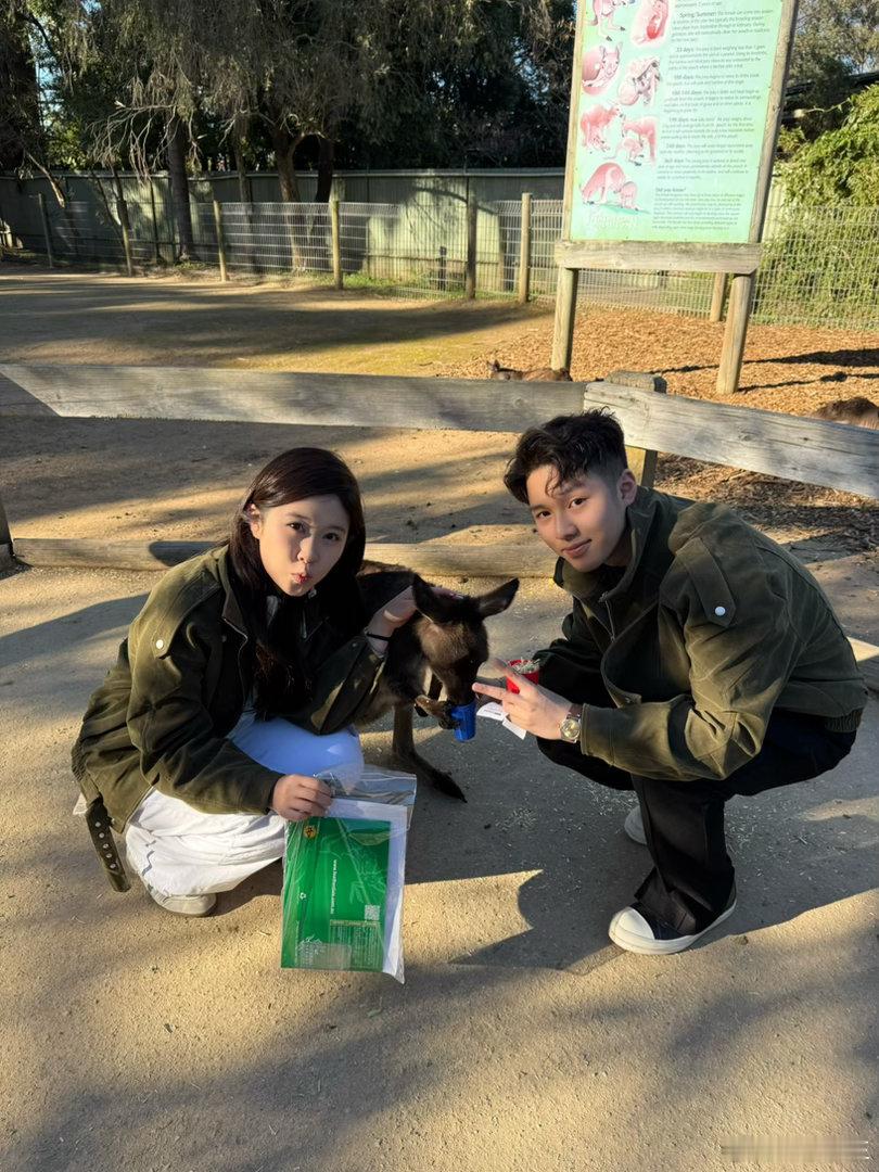 疯狂动物园给小宝宝吃美了 澳大利亚·悉尼