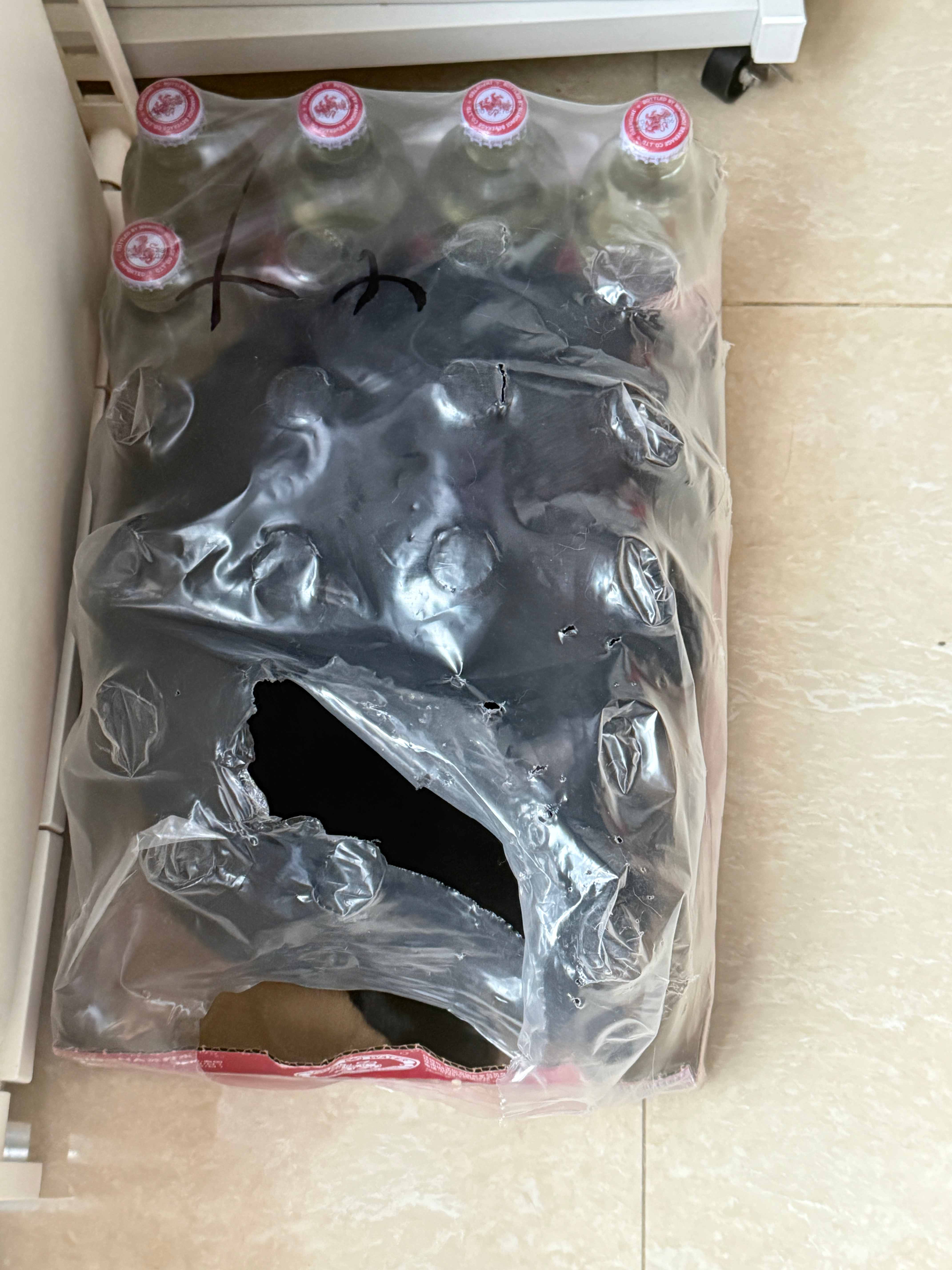 何必费心买猫窝呢？家里一堆现成的 