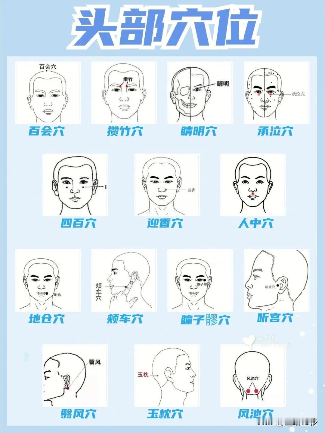 探索头部穴位之谜：从百会到风池，你了解多少？

在古老的中医理论中，人体的头部穴