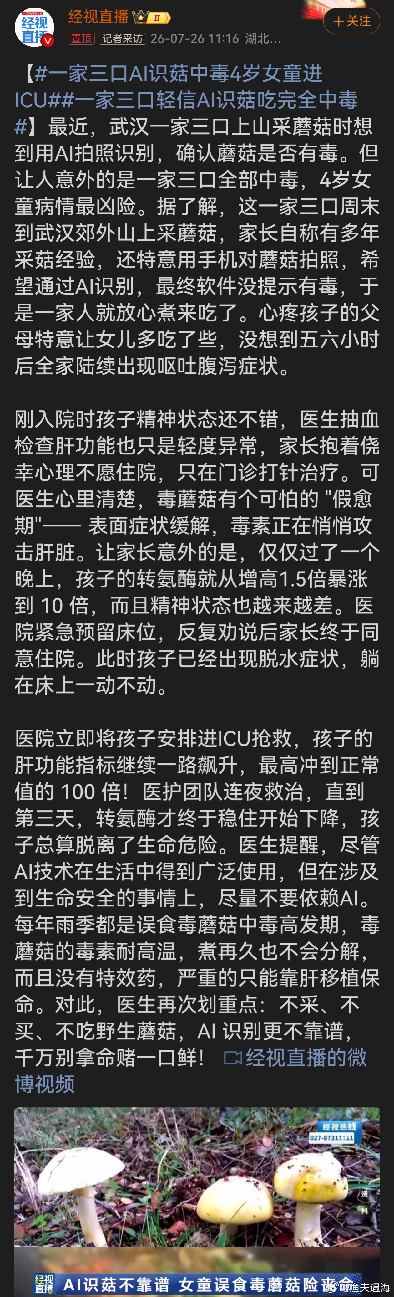 一家三口AI识菇中毒4岁女童进ICU 科技是辅助不是保命标准，拿孩子健康轻信AI