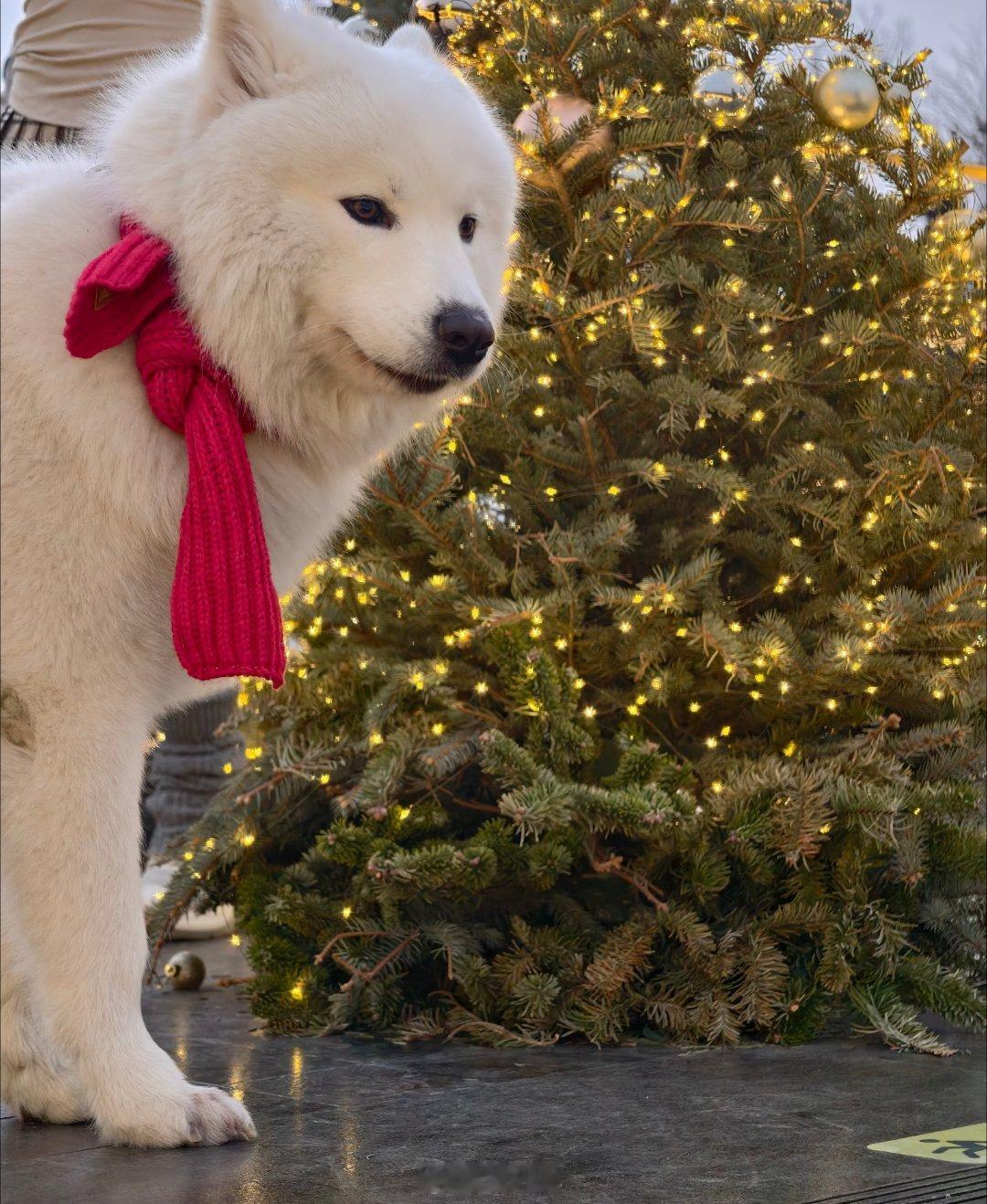 逛街偶遇漂亮耶耶我的日常plog