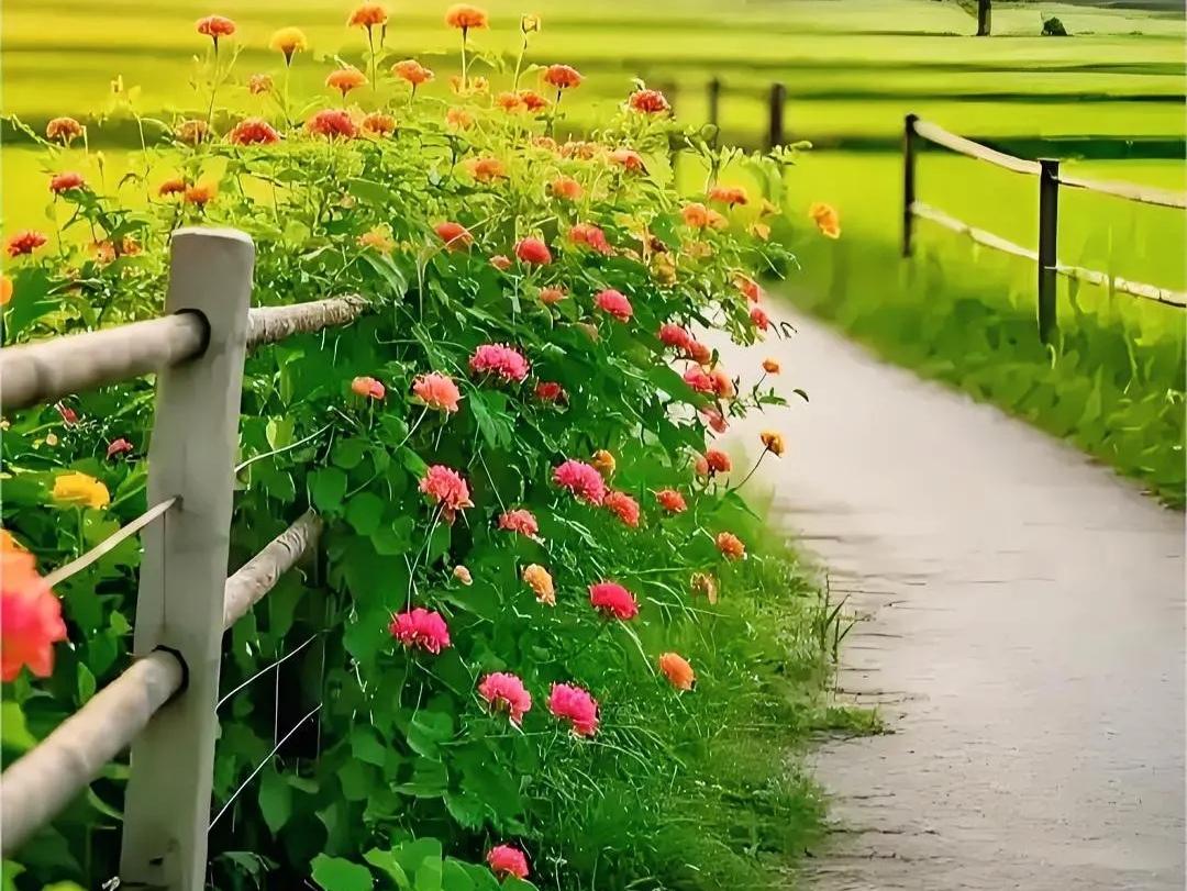 情绪稳定的秘诀是不在乎。
真正的“不在乎”并非麻木或冷漠，
是一种经过深思与练习