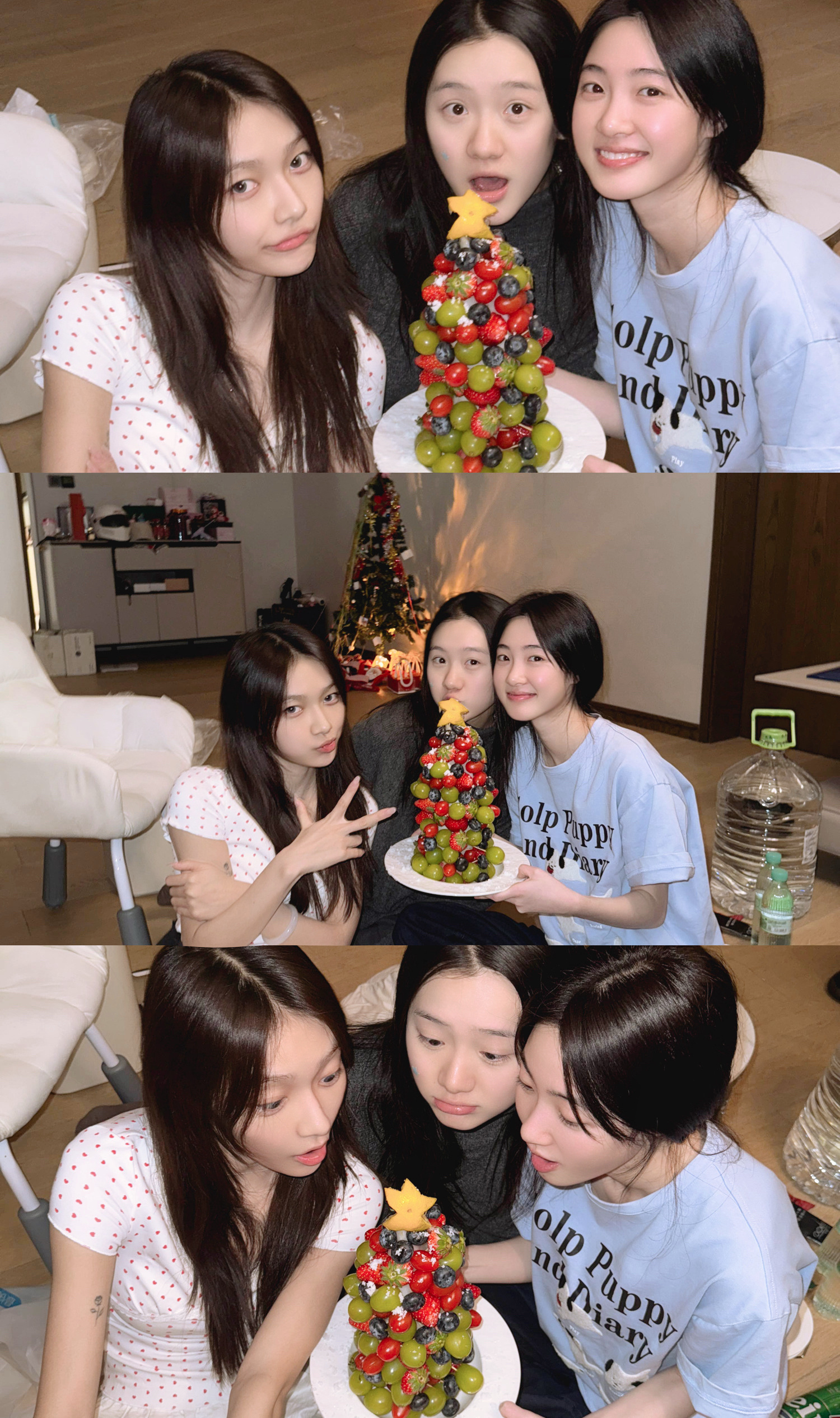 🍎🎄歪瑞巴卜 