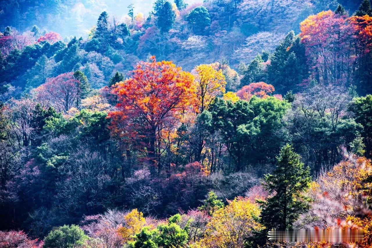 我在头条的观点:  一次有效阅读胜过十个无效点赞


在头条，我知道与条友们的互