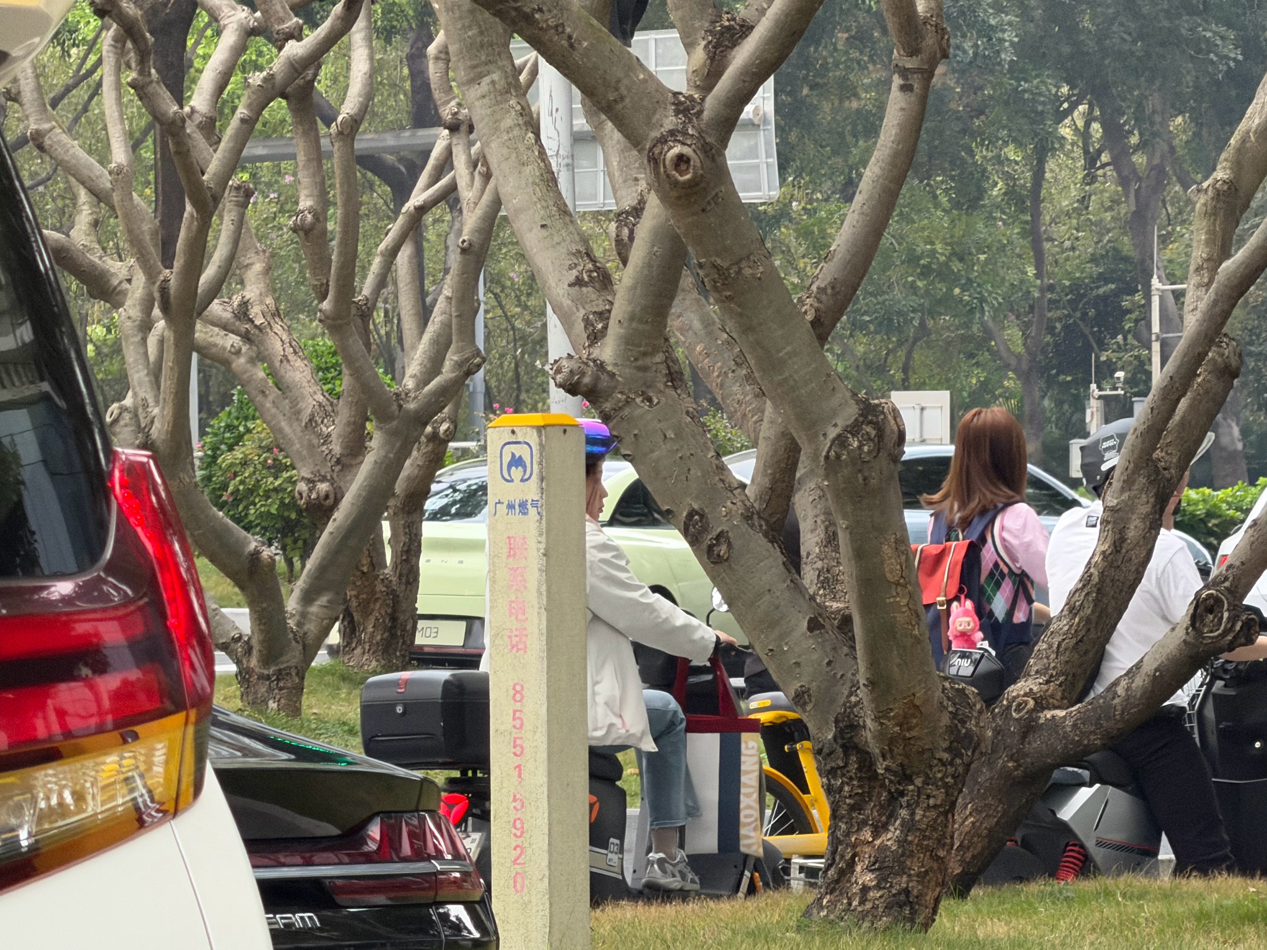 今天在广州街头偶遇了新MONA的试驾车～牛油果绿和罗兰紫挺好看的，很适合M03的